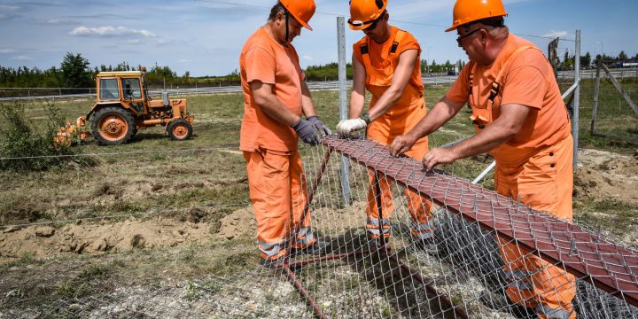 A vadelütéses balesetek visszaszorításáért fogott össze Szabolcs-Szatmár-Bereg megyében a Magyar Közút és a helyi Vadászkamara